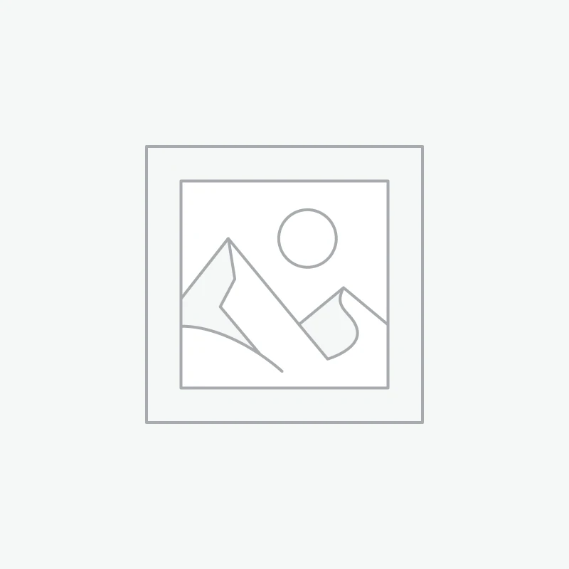 Professional Support