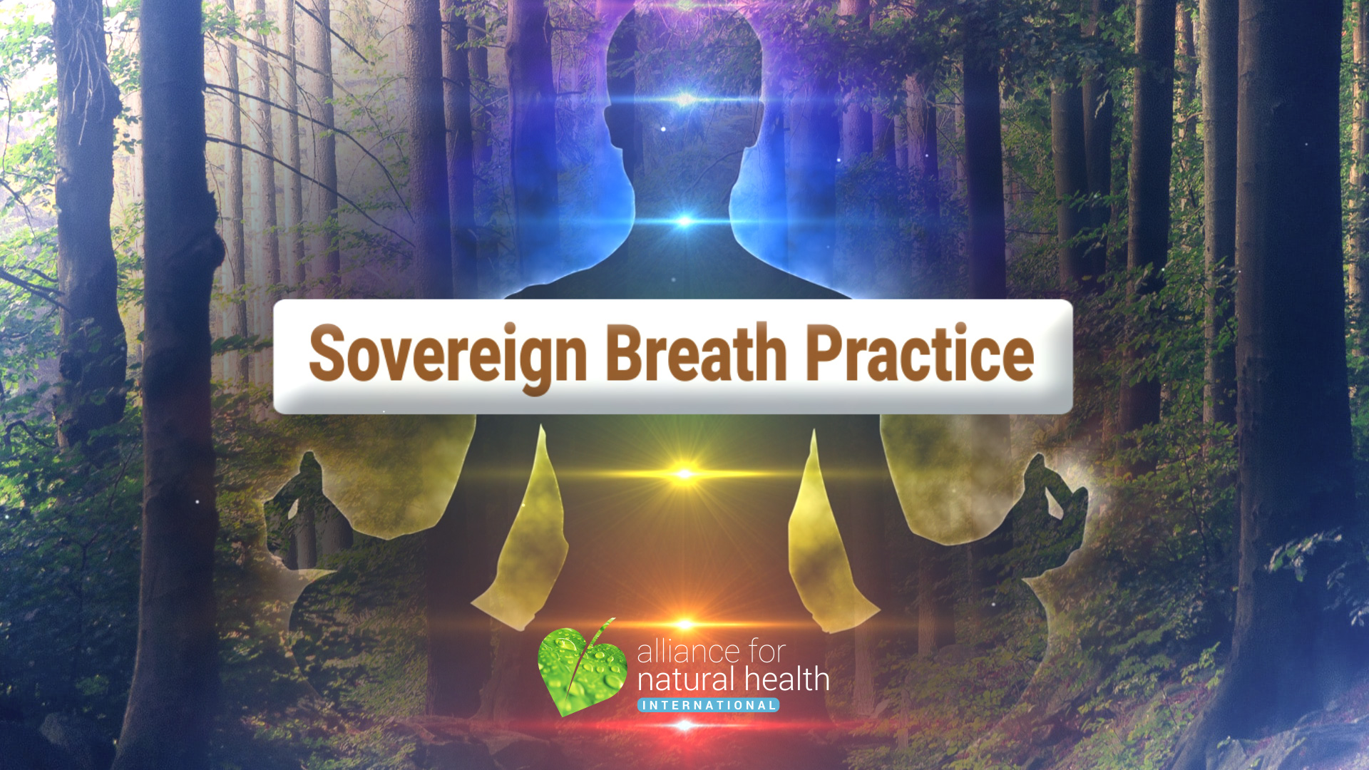 Sovereign breath practise 66505f966fa8b.jpeg