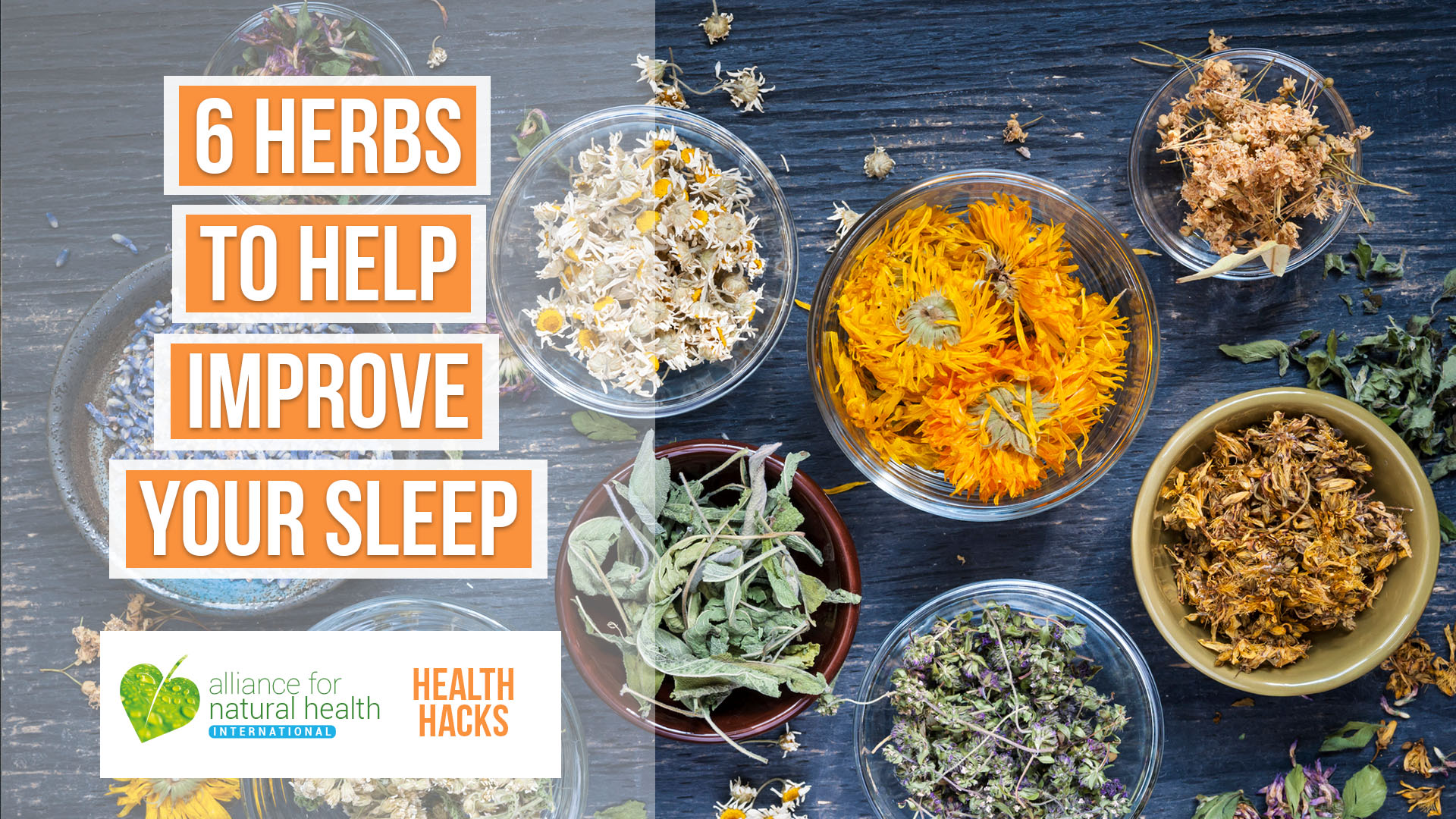 6 botanicals that can transform your sleep 669a558261360.jpeg