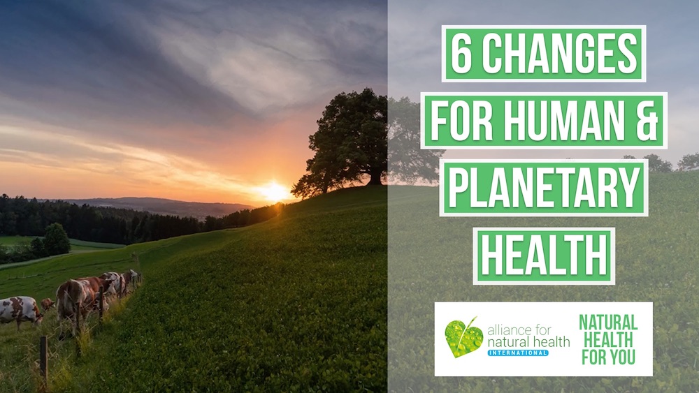 6 things you can do to save planetary and human health 669a5566db56d.jpeg