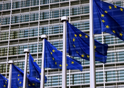 ANH and Irish delegation urge European Commission to rethink its policy on natural health 669bdead8ba45.jpeg