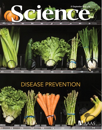 ANH FEATURE: Is mainstream medicine ready to turn itself on its head? 669bcf50b662b.jpeg
