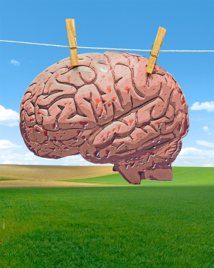 ANH Intl Feature: Biology student at major UK university exposes biased GM crop education 669bc6212c63f.jpeg