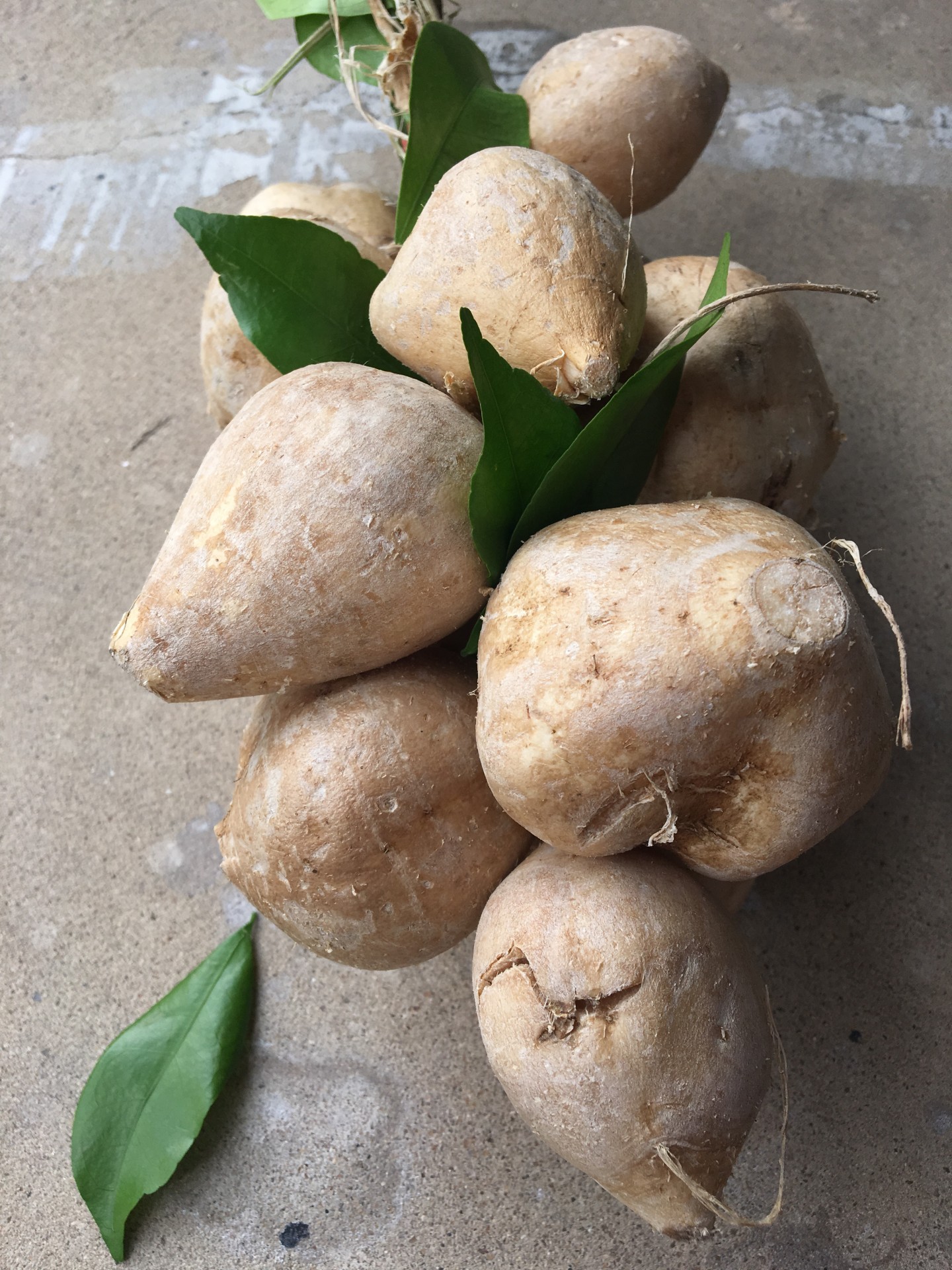 Mexican yams
