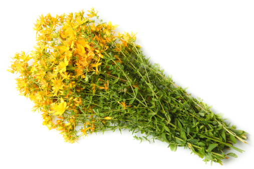 ANH Intl Feature: UK medicines regulator and trade association collaborate in online herbal bust 669bbfa2aaaa1.jpeg