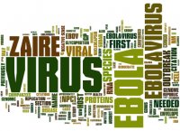 ANH Intl press release: Global Ebola relief effort not reaching rural communities 669bc0d58c105.jpeg