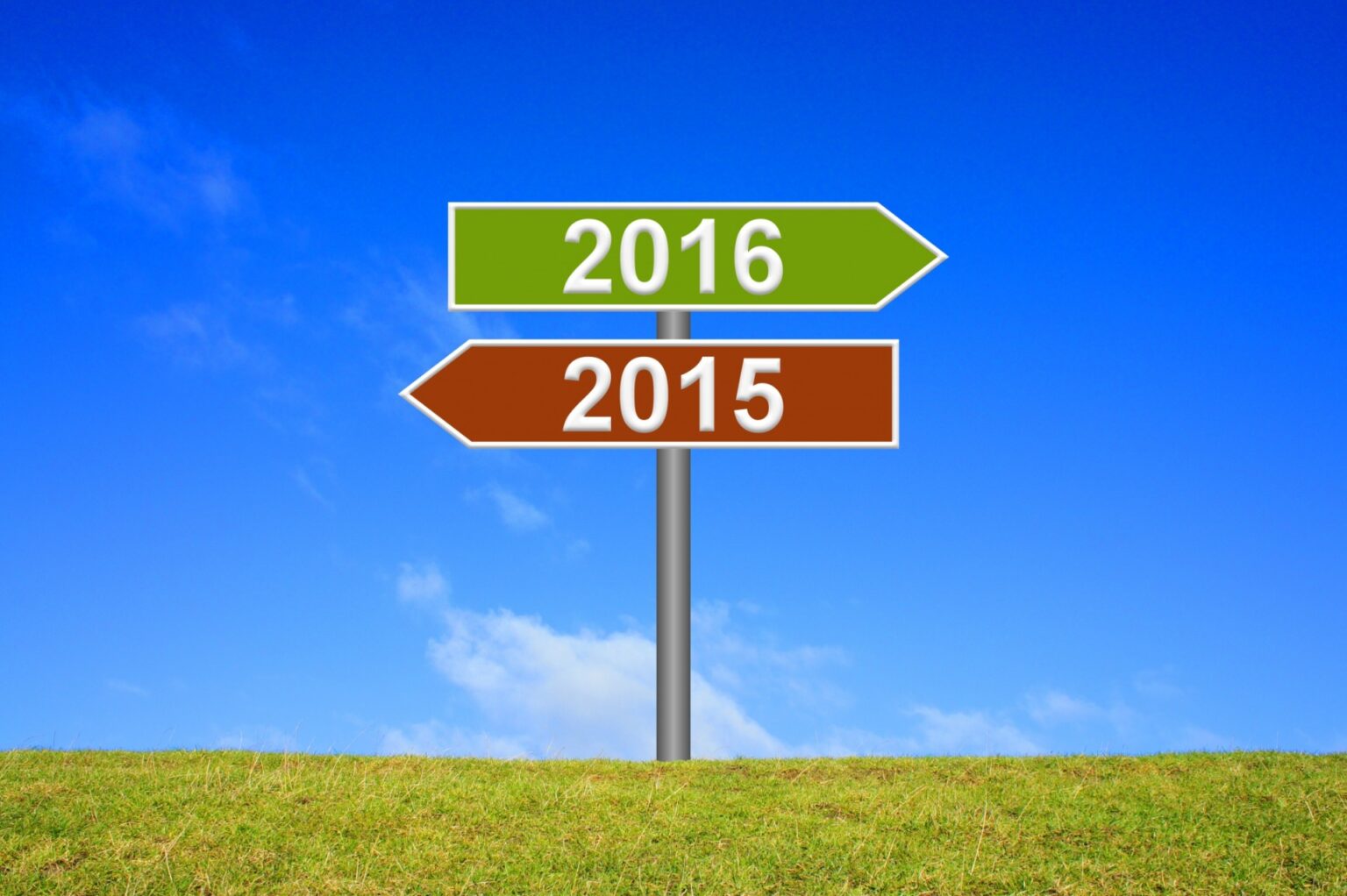 ANH Intl review of 2015: breaking boundaries for natural health 669bbc2971a09.jpeg
