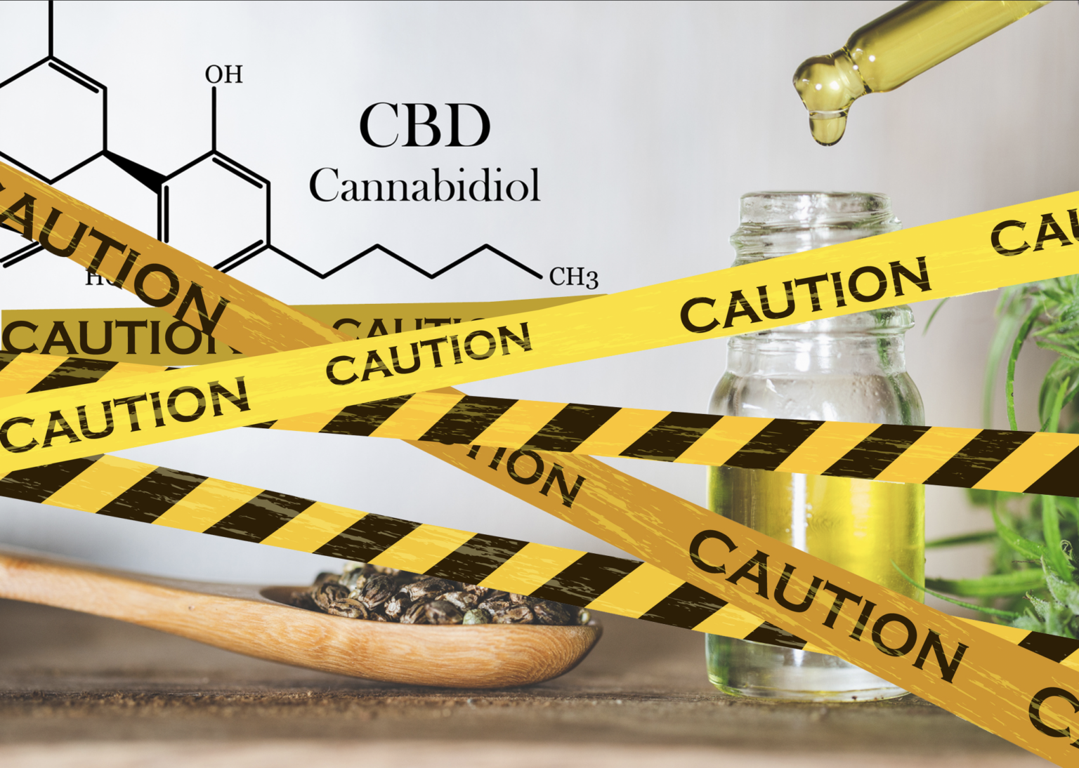 ANH Intl Special Report: Is safety the new gremlin for CBD regulation? 669b8b53c46a1.png
