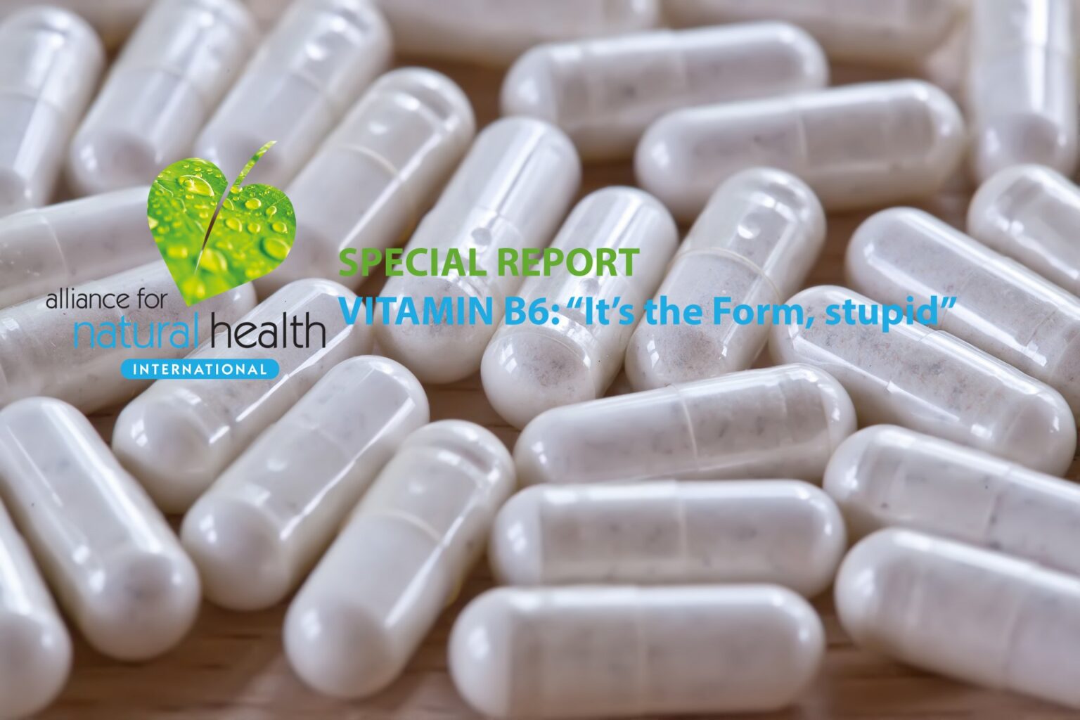ANH Intl Special Report: Vitamin B6 – “It’s the Form, stupid” 669bb2dd4b087.jpeg