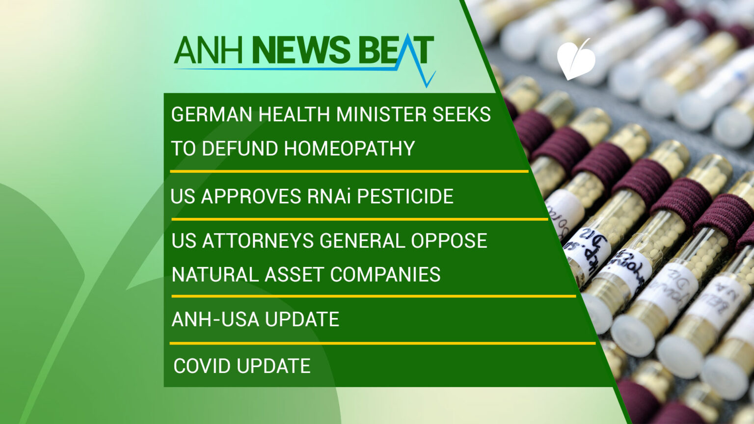 ANH News Beat (week 03/2024) 669a836ae4db1.jpeg