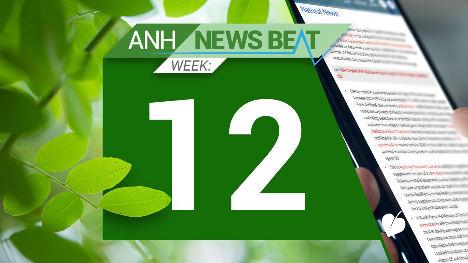 ANH News Beat (week 12/2024) 669a825fa55b4.jpeg