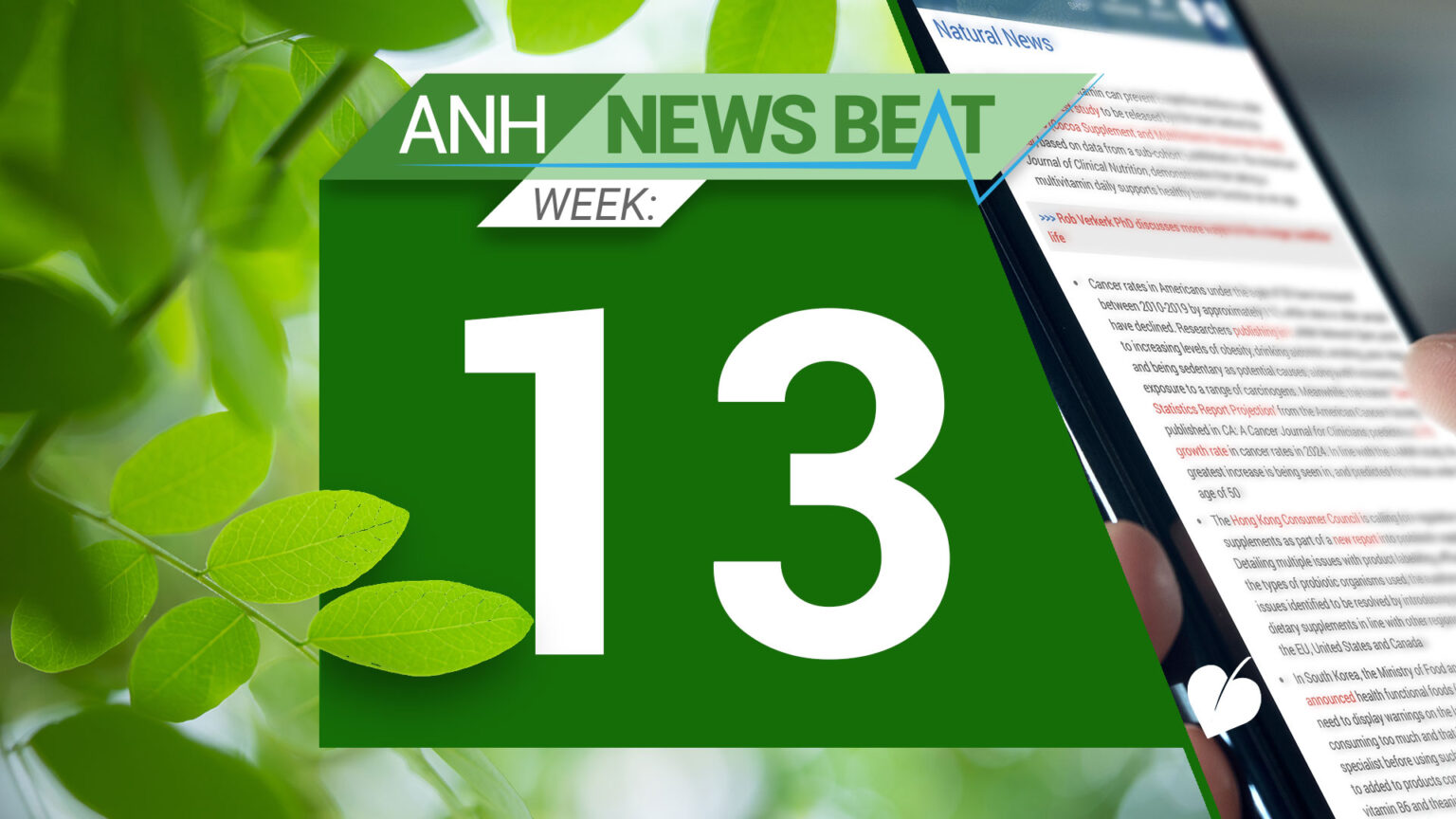 ANH News Beat (week 13/2024) 669a823e6200a.jpeg