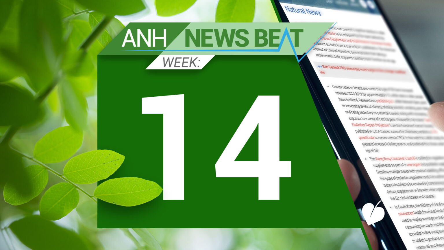 ANH News Beat (week 14/2024) 669a8228bbdf0.jpeg