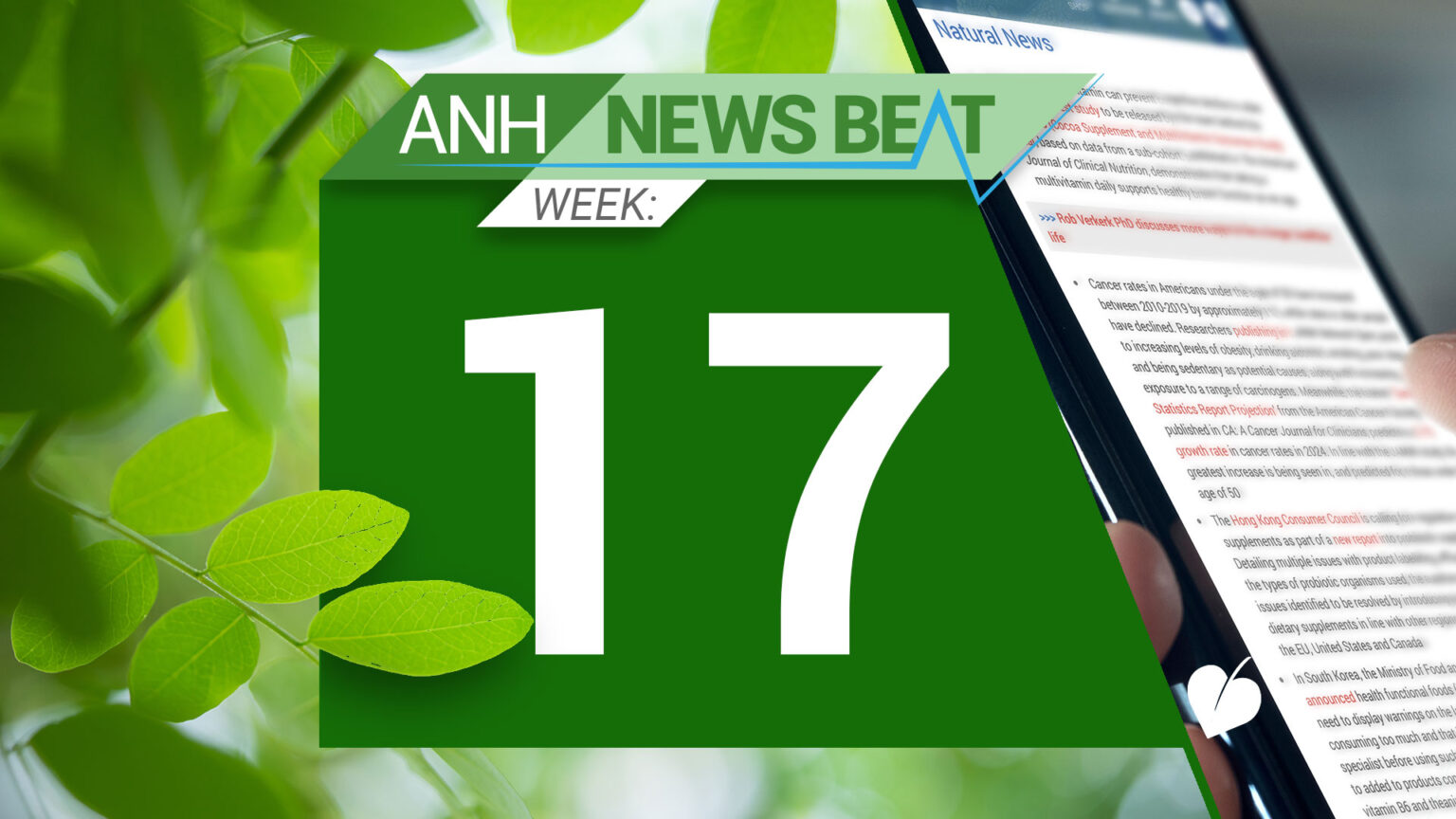 ANH News Beat (week 17/2024) 669a81d7110c3.jpeg