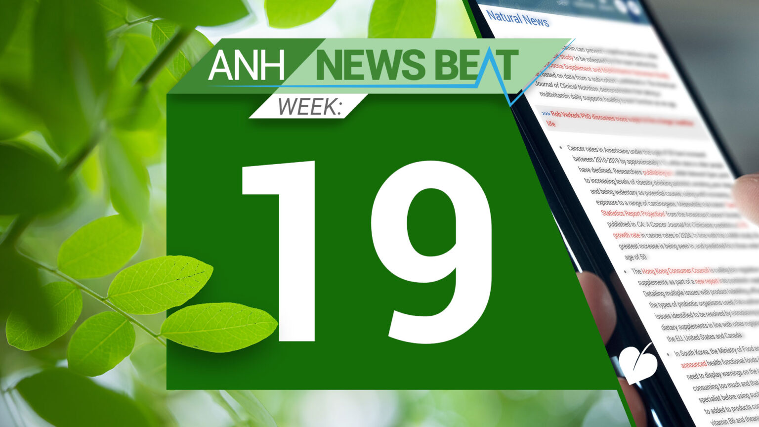 ANH News Beat (week 19/2024) 669a8180b97eb.jpeg