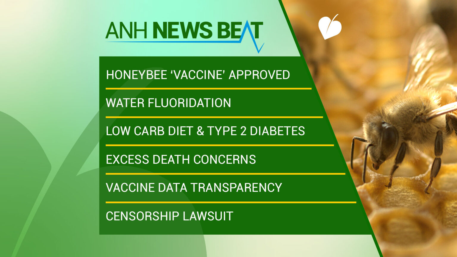ANH News Beat (week 2/2023) 669b060f69705.jpeg