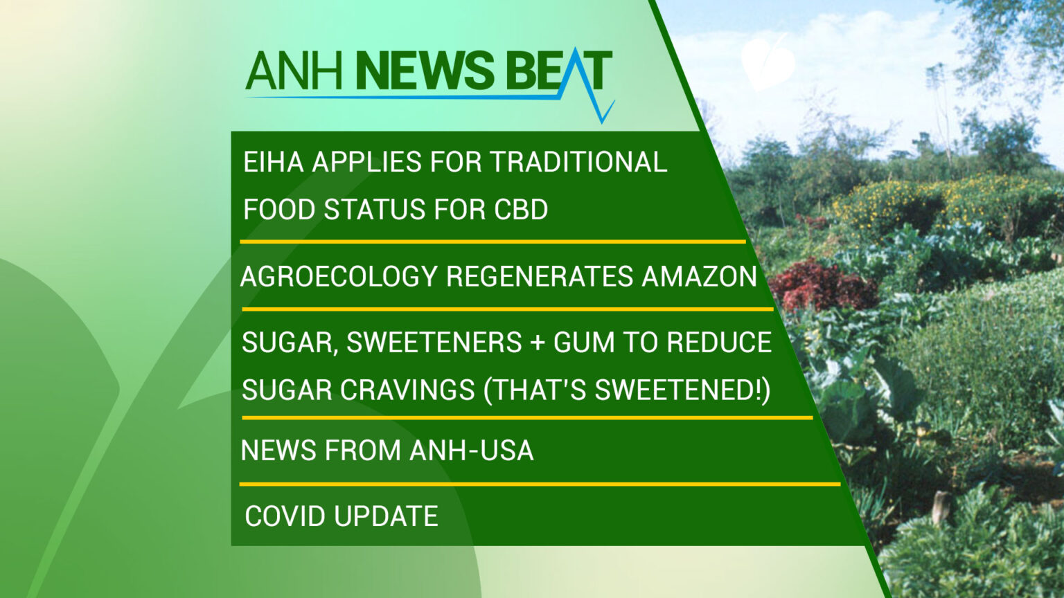 ANH News Beat (week 20/2023) 669a93e3a506b.jpeg