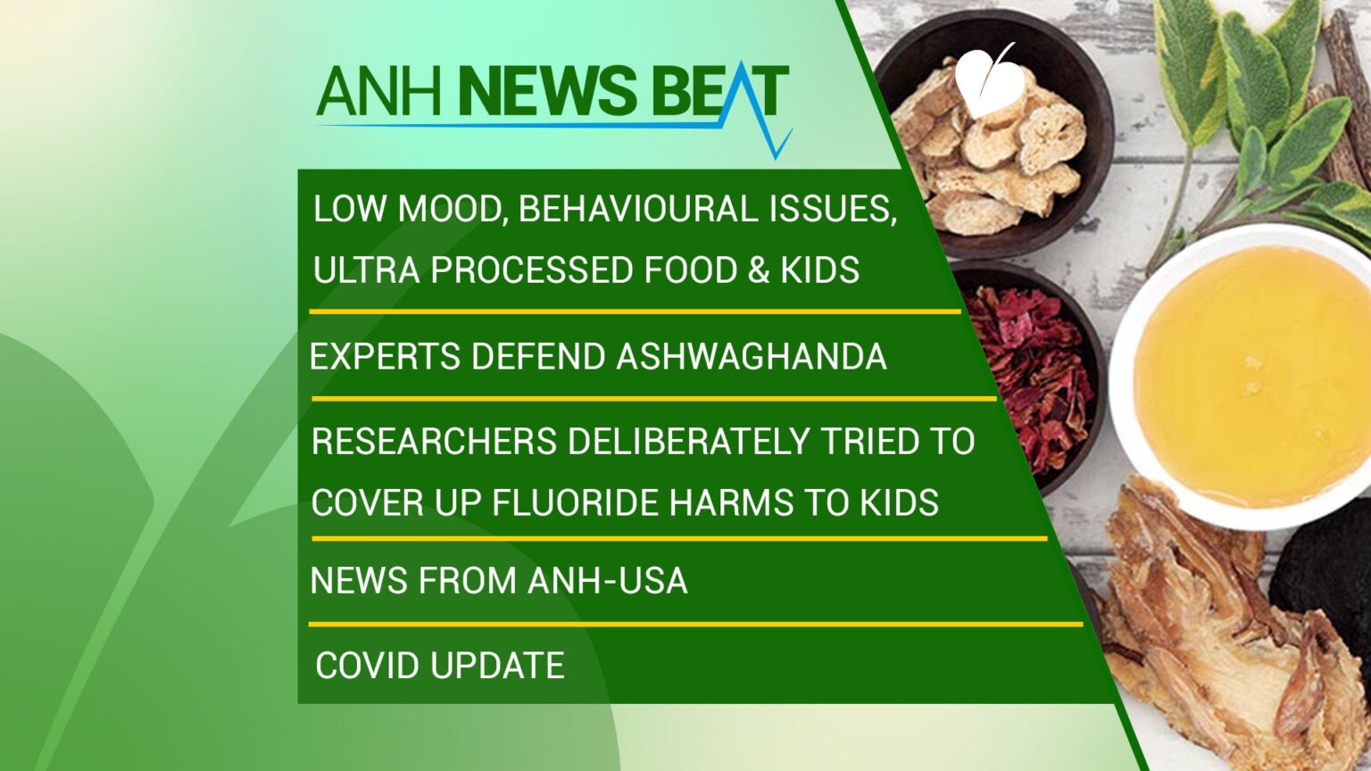 ANH News Beat (week 22/2023) 669a93a78916d.jpeg