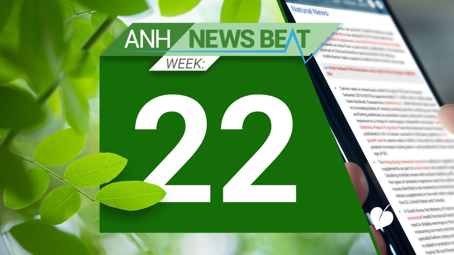 ANH News Beat (week 22/2024) 669a8100380be.jpeg
