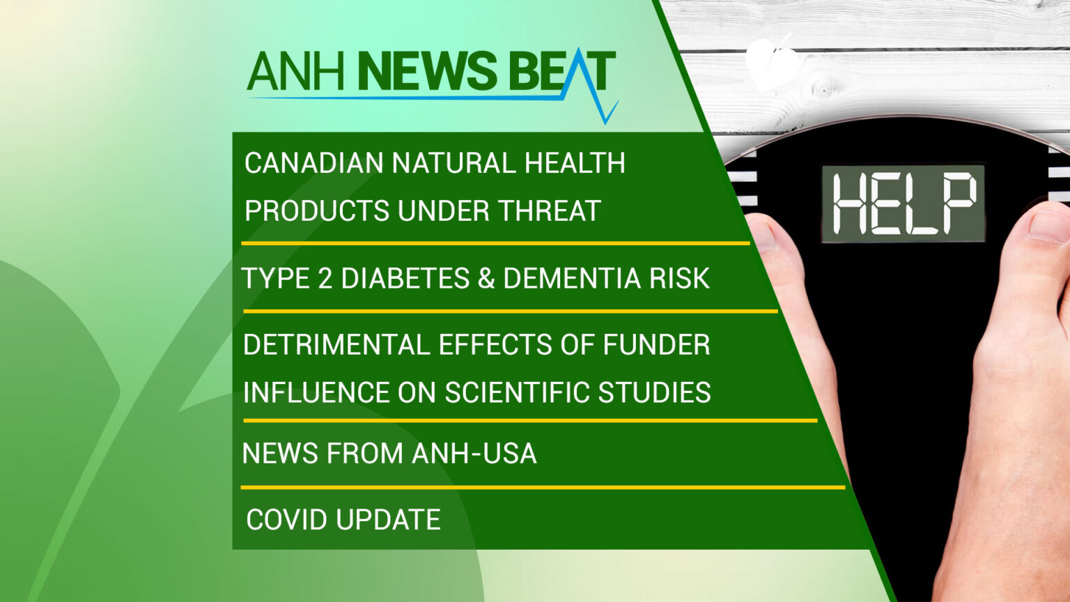 ANH News Beat (week 23/2023) 669a93851053a.jpeg