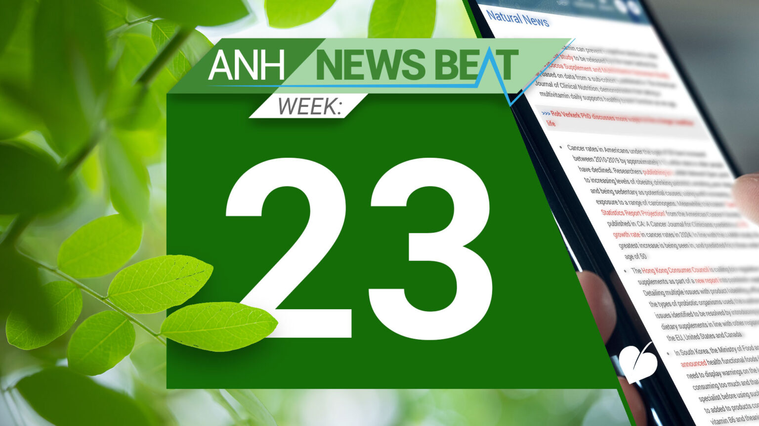 ANH News Beat (week 23/2024) 669a80db1e691.jpeg