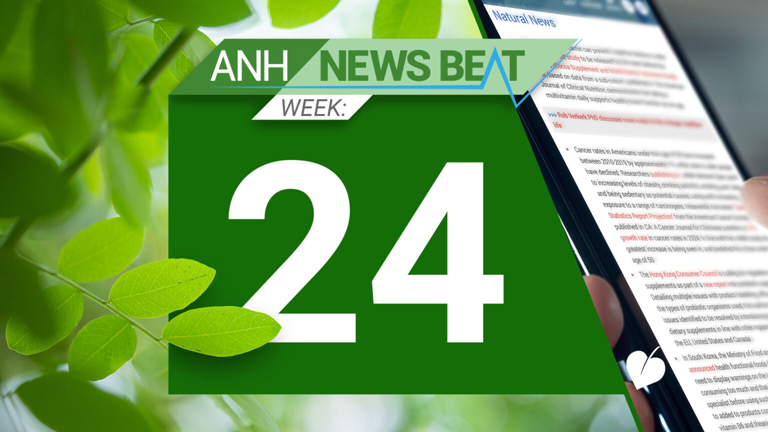 ANH News Beat (week 24/2024) 669a80bd0b31a.jpeg