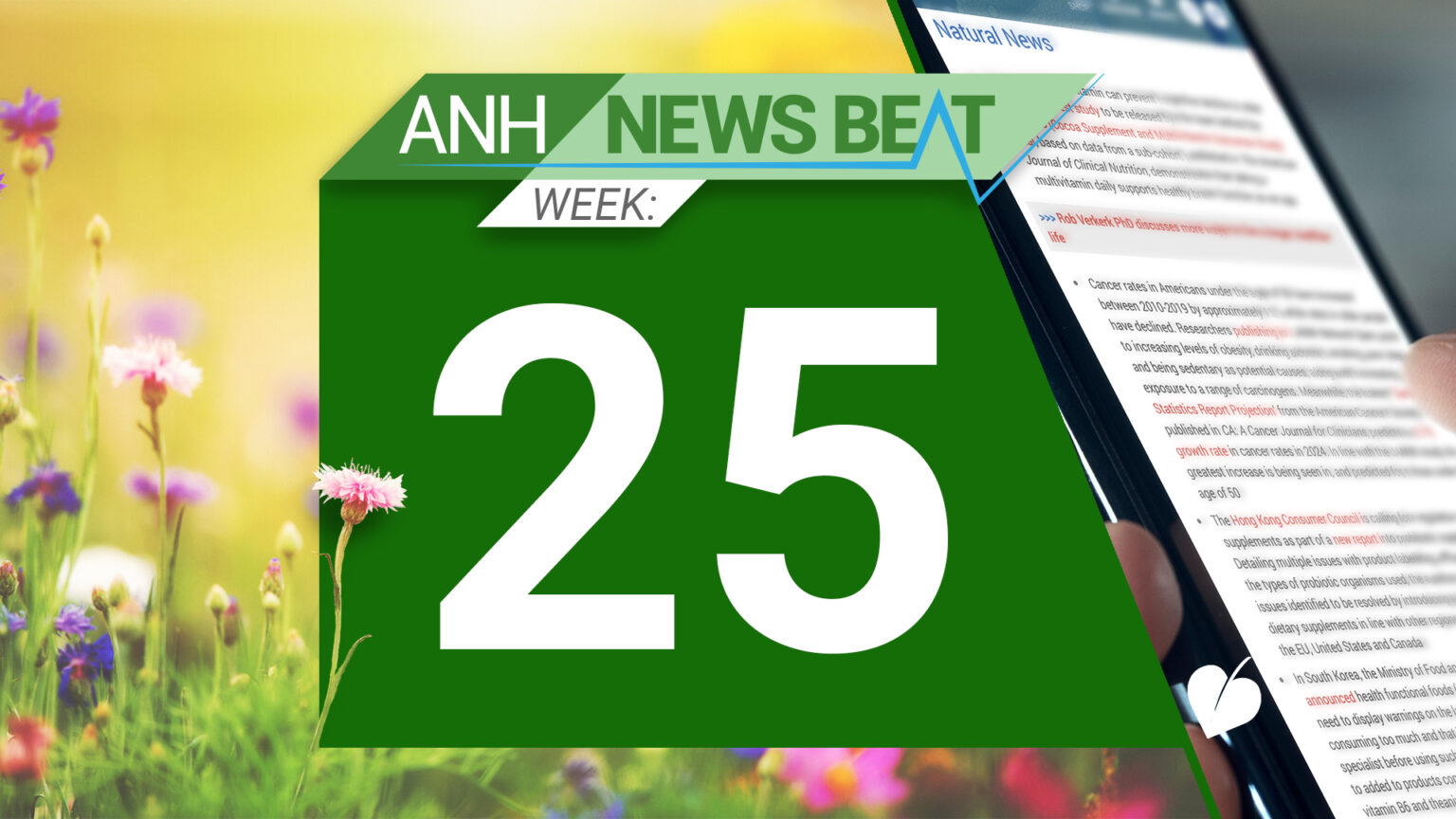 ANH News Beat (week 25/2024) 669a8098ae4a1.jpeg