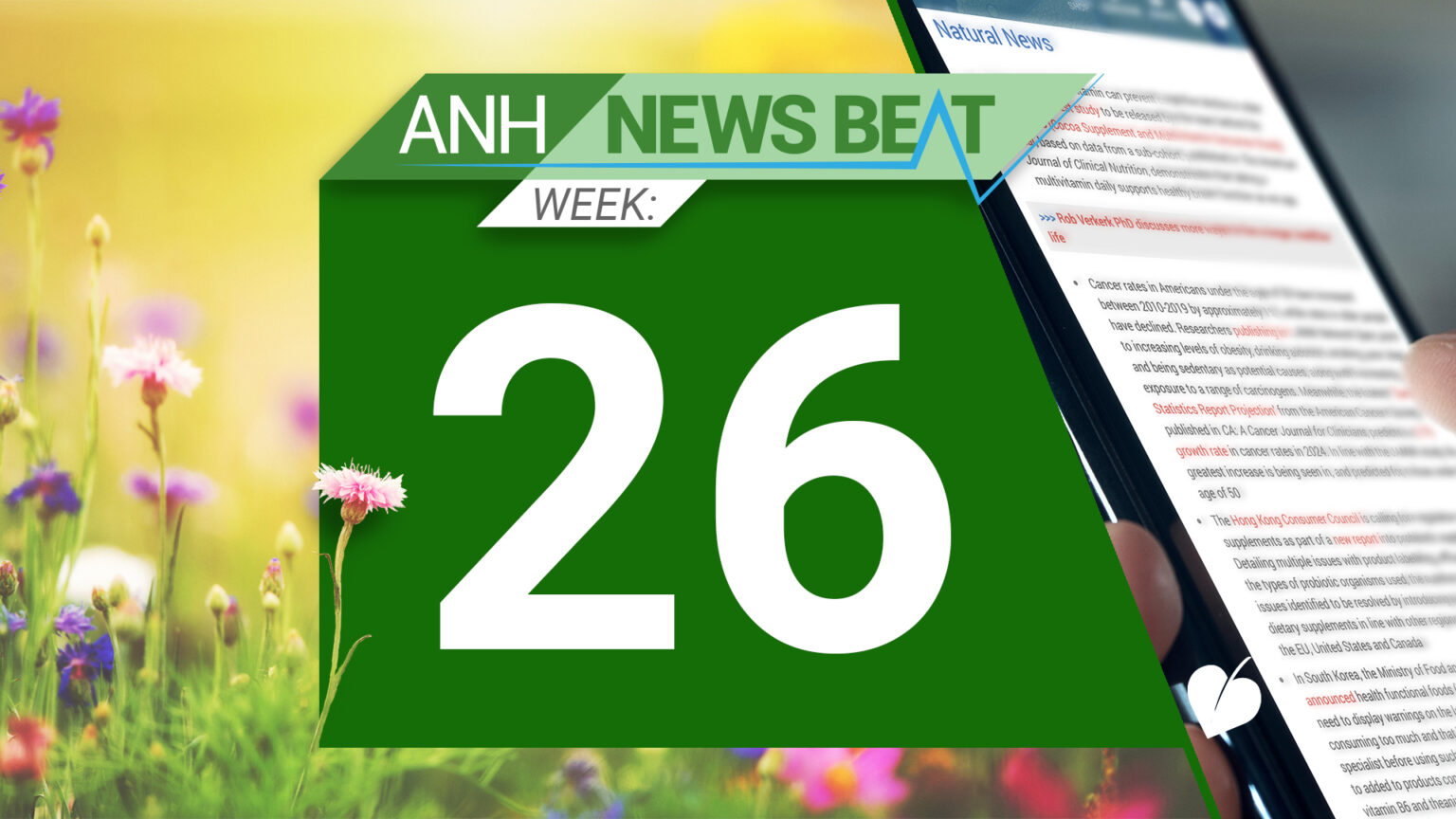 ANH News Beat (week 26/2024) 669a8081a7a74.jpeg