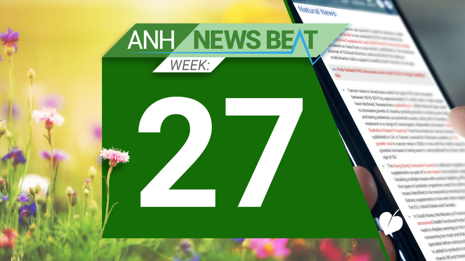 ANH News Beat (week 27/2024) 669a7d3354fd9.jpeg