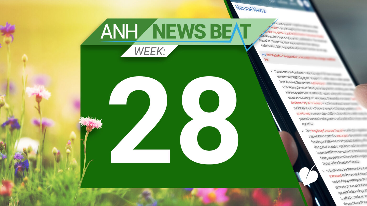 ANH News Beat (week 28/2024) 669a7d12b8be7.jpeg