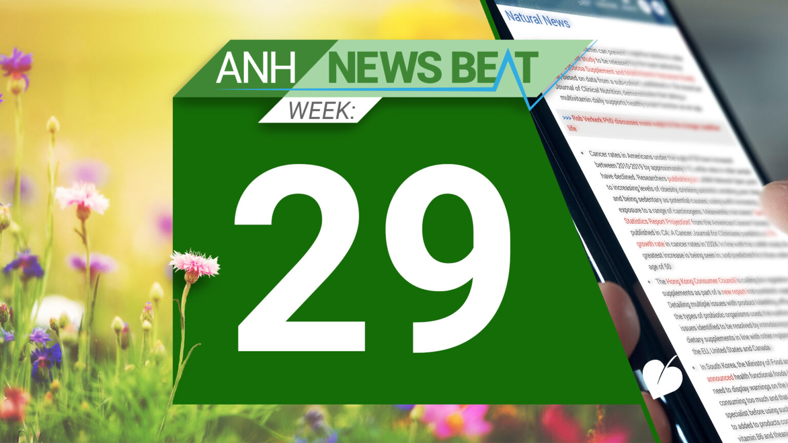 ANH News Beat (week 29/2024) 669a7cefe1e55.jpeg