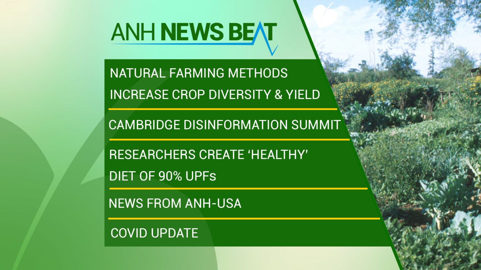 ANH News Beat (week 31/2023) 669a928239a9d.jpeg