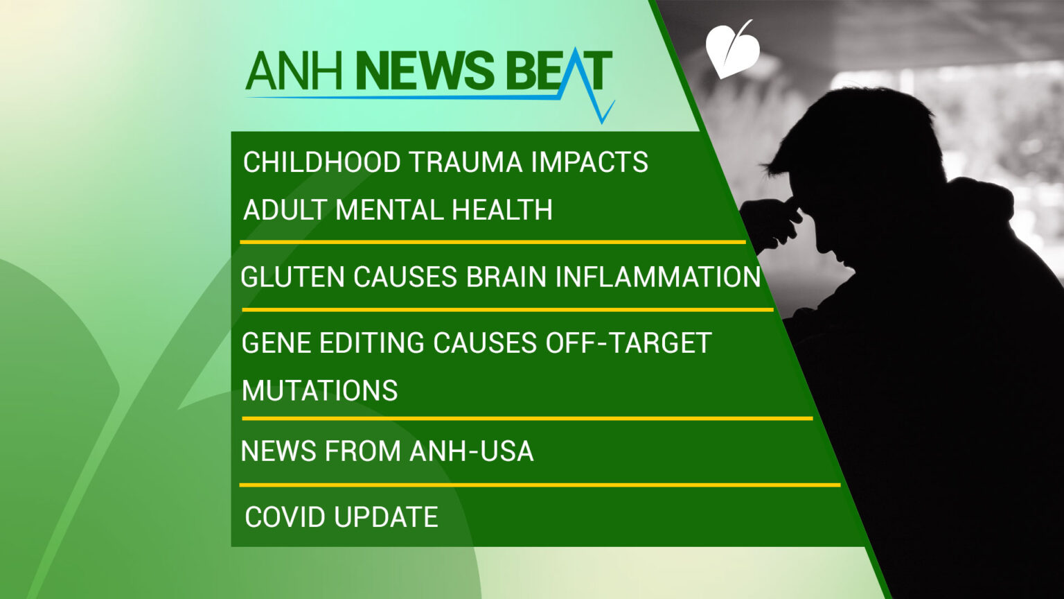 ANH News Beat (week 33/2023) 669a922c152e5.jpeg