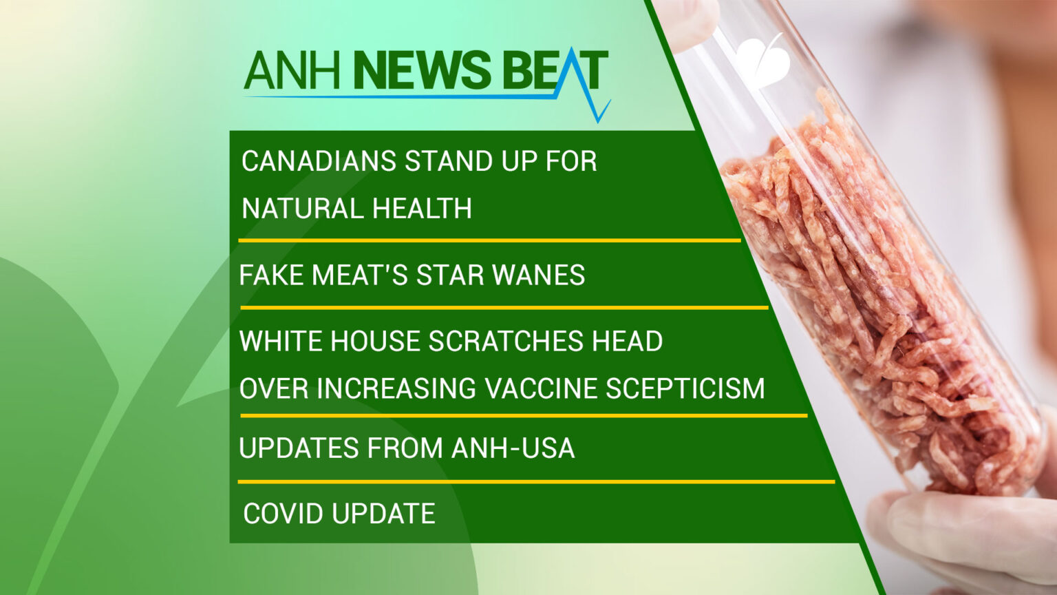 ANH News Beat (week 40/2023) 669a91089bd95.jpeg
