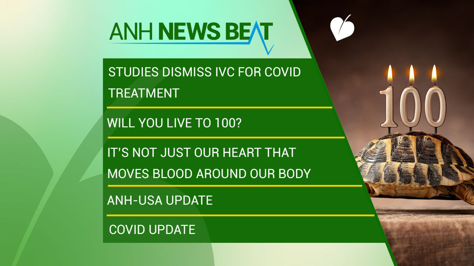 ANH News Beat (week 44/2023) 669a84d090456.jpeg