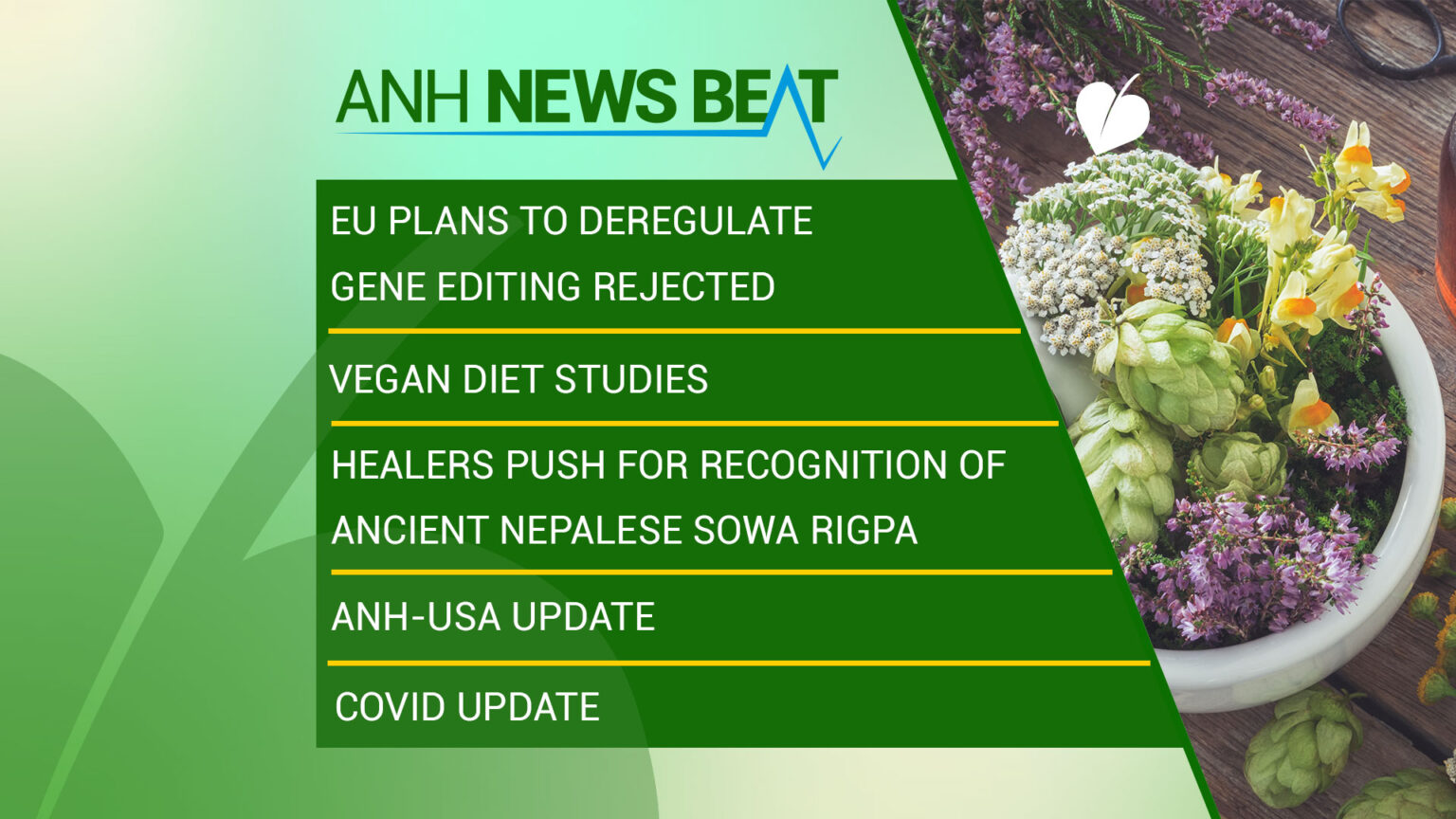 ANH News Beat (week 50/2023) 669a8420cda21.jpeg
