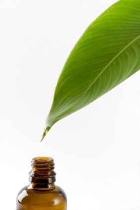 ANH Press Release: European Commission recognises need for amending herbals directive 669bddba15da6.jpeg
