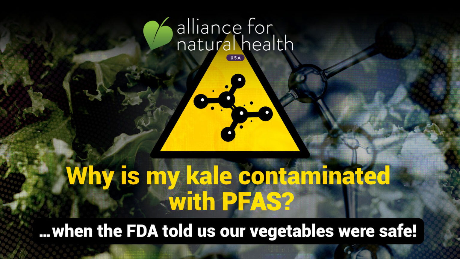 ANH USA study finds ‘forever chemicals’ in kale 669a931621b9f.jpeg