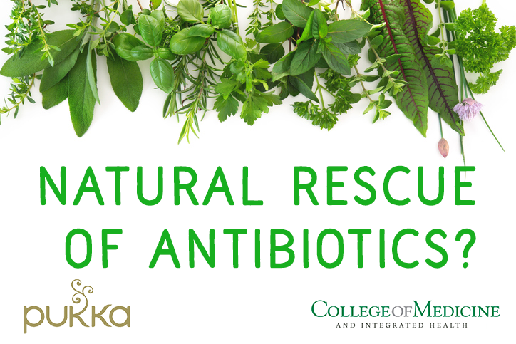 Can natural medicine come to the rescue of antibiotics? 669b92d027409.png