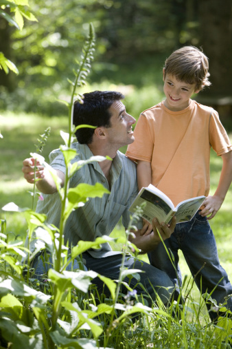 Celebs spark campaign to put nature words back in Oxford kids dictionary 669bc02aa710b.jpeg