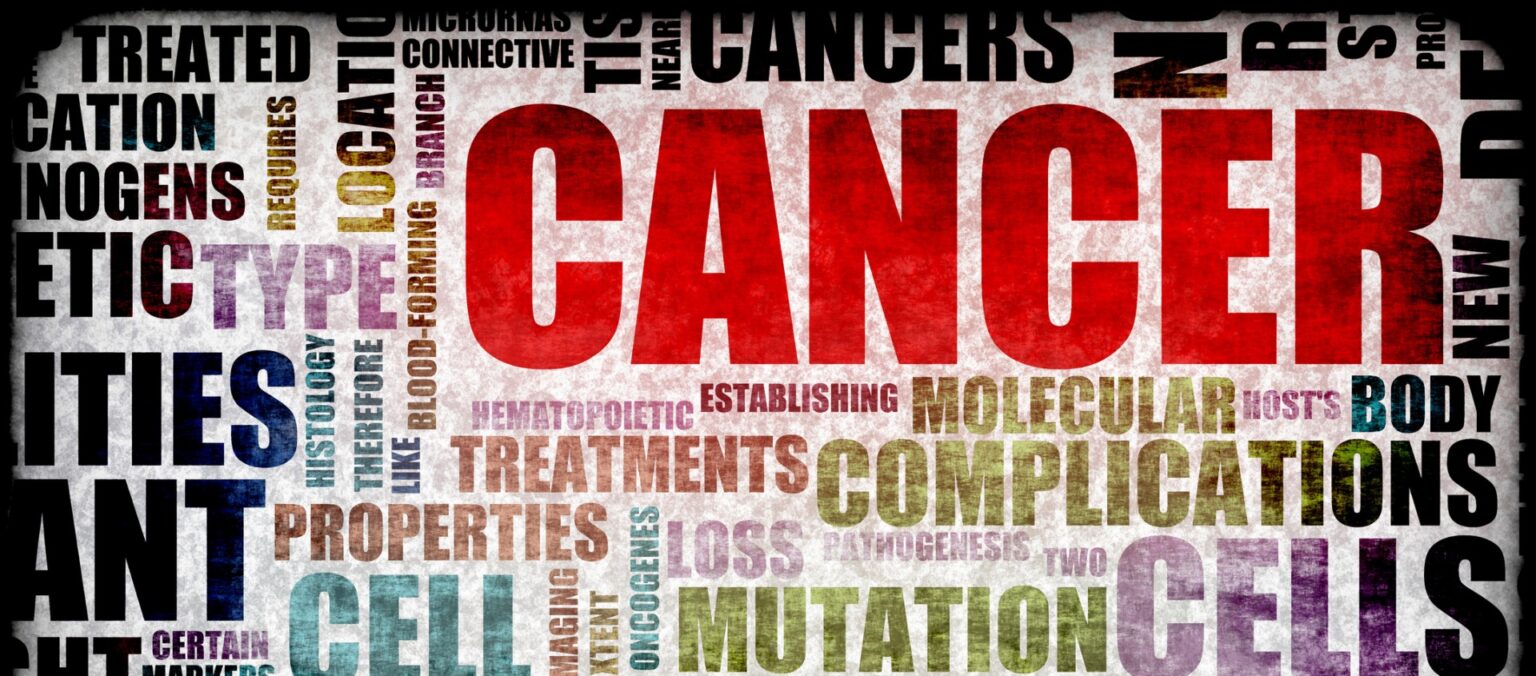 ‘Charging down the wrong path’ – Is cancer a metabolic, epigenetic disease? 669bb8221f6ef.jpeg