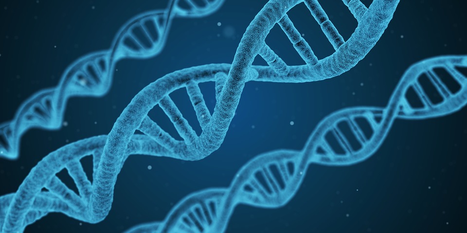 Corporations don’t own your genes – but they can copy them 669bc72d082d6.jpeg