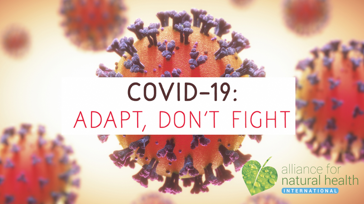 Covid 19 – the video: Adapt, don’t fight 669b85a39f667.png