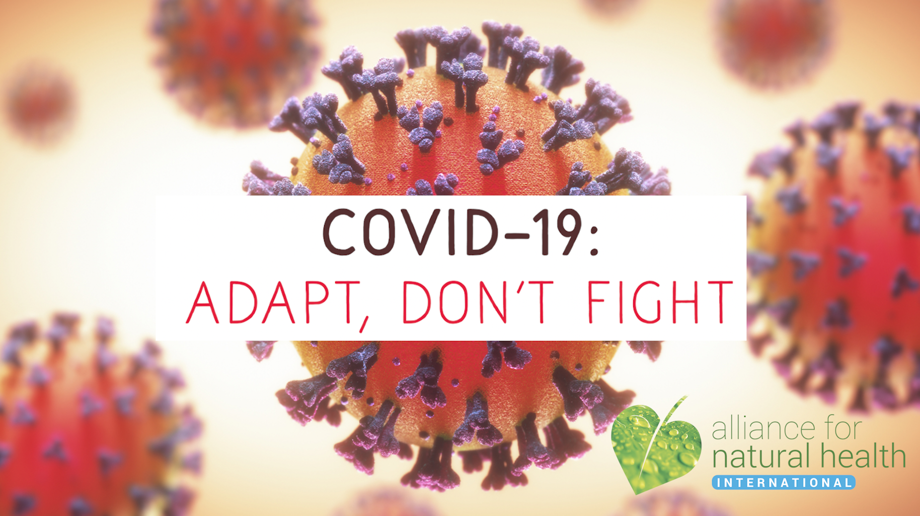 Covid 19 – the video: Adapt, don’t fight 669b85a39f667.png