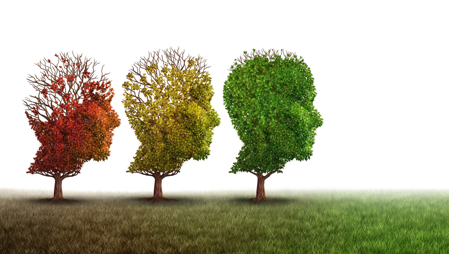 Dementia – preventable or inevitable? 669ba219c6a96.jpeg