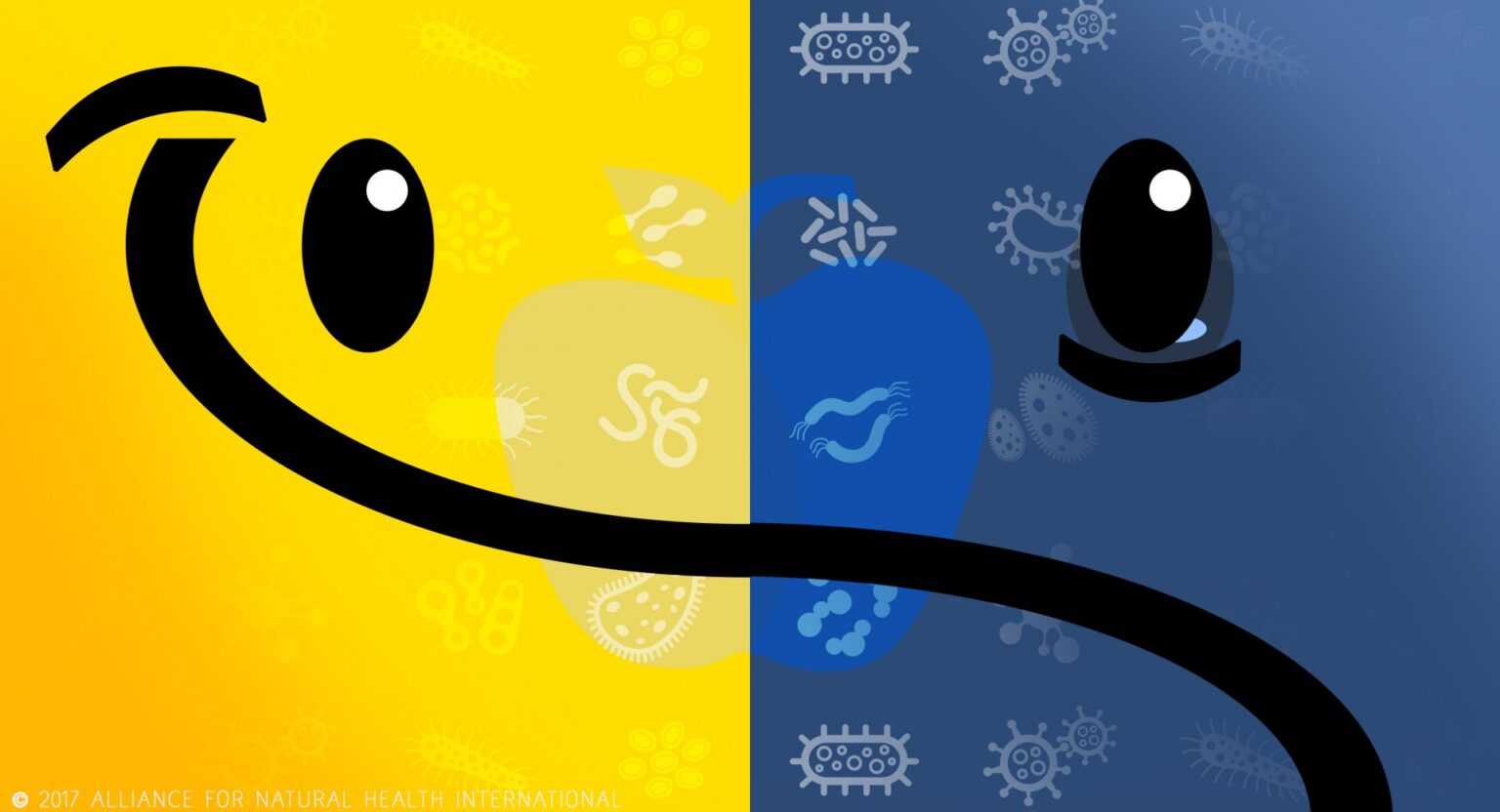 Depression – more than a gut feeling 669bb6038f113.jpeg