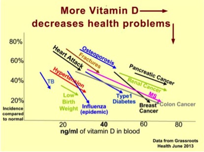 Vit D_Wiki