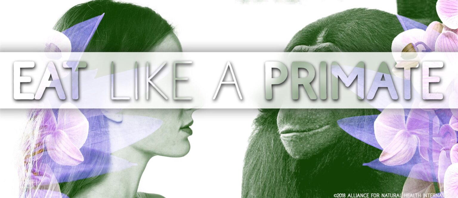 Eat like a primate – and live a long, healthy life 669bb0f06bb0e.jpeg