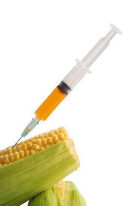 EU citizens: Urgent Action required on GM 669bd84279af4.jpeg