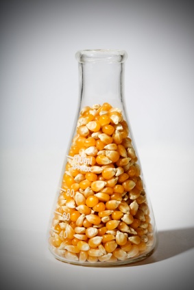 EU leaders conspire against citizens in secret plan to boost GM crop production 669bdde55374c.jpeg